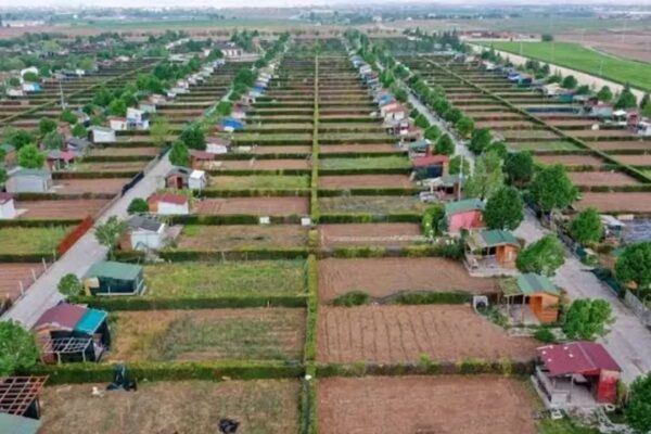 Hobi bahçesi satışlarının yasaklanması gündeme geldi