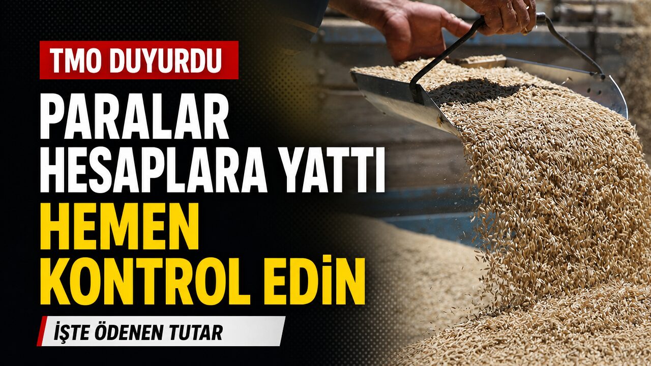 TMO’dan hububat çiftçisine 12 milyar 150 milyon TL ödeme