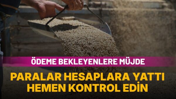 TMO’dan hububat çiftçisine 12 milyar 150 milyon TL ödeme