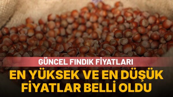 27 Temmuz 2026 fındık fiyatları: En yüksek ve en düşük fiyatlar açıklandı