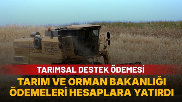 Tarım Bakanlığından yeni tarımsal destek ödemesi: Bugün hesaplara yattı
