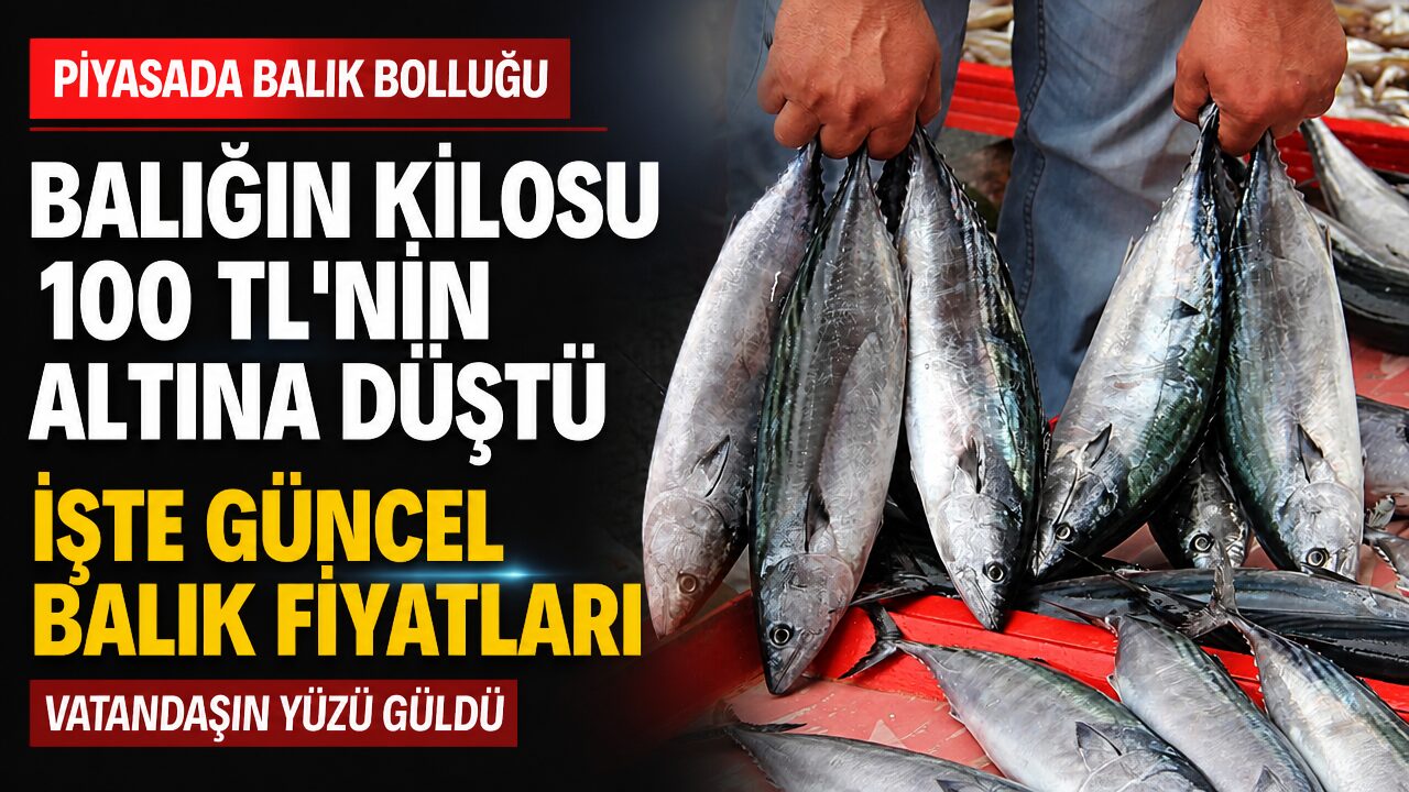 Balık fiyatları 100 liranın altına düştü! İşte güncel balık fiyatları!