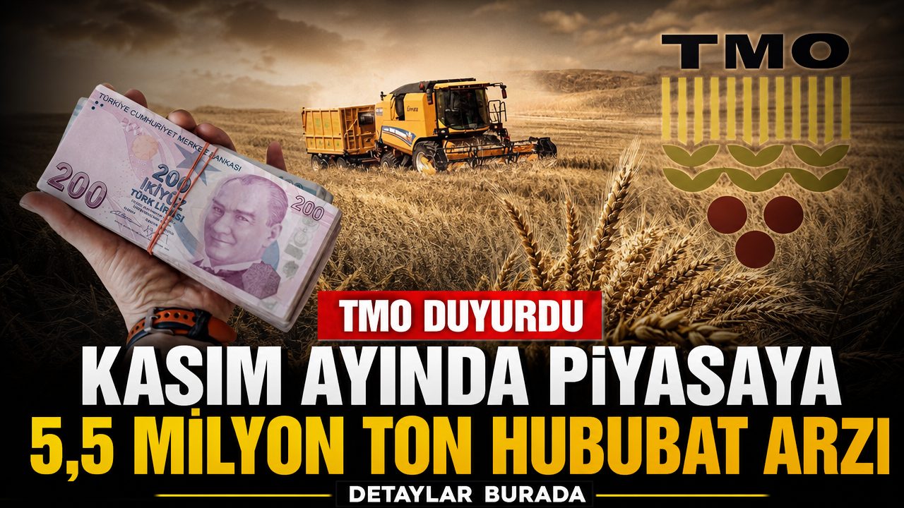TMO’dan kasım ayında piyasaya 5,5 milyon ton hububat arzı