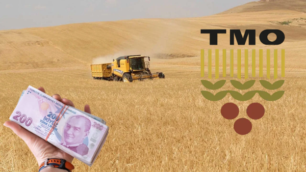 TMO’dan kasım ayında piyasaya 5,5 milyon ton hububat arzı