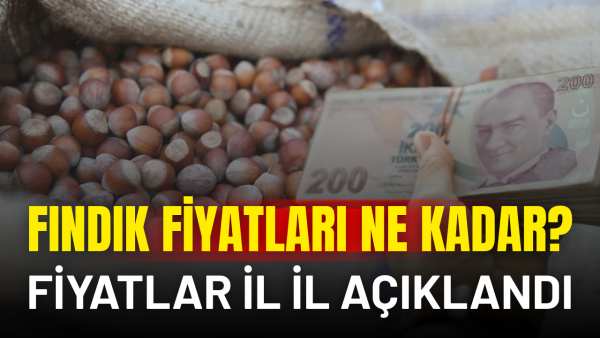 27 Ekim 2026 fındık fiyatları: İl il açıklandı
