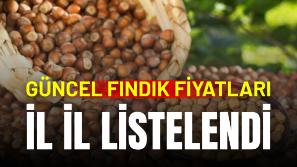 19 Ekim 2026 il il fındık fiyatları