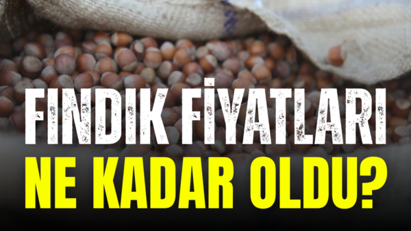 1 Ekim 2026 il il fındık fiyatları