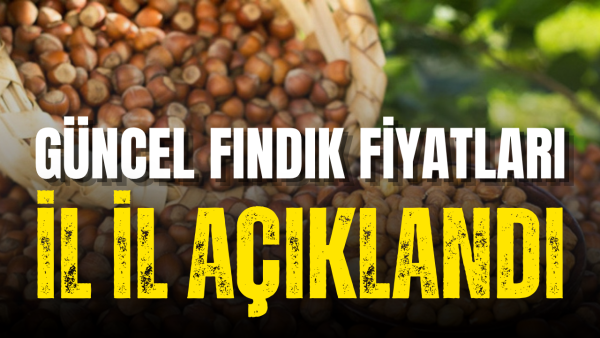12 Ekim 2026 fındık fiyatları: İl il açıklandı