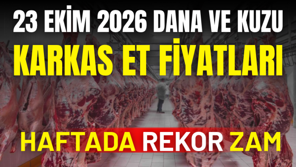 Dana karkasa zam geldi, kuzu karkas fiyatları sabit kaldı: 23 Ekim 2026 karkas et fiyat listesi