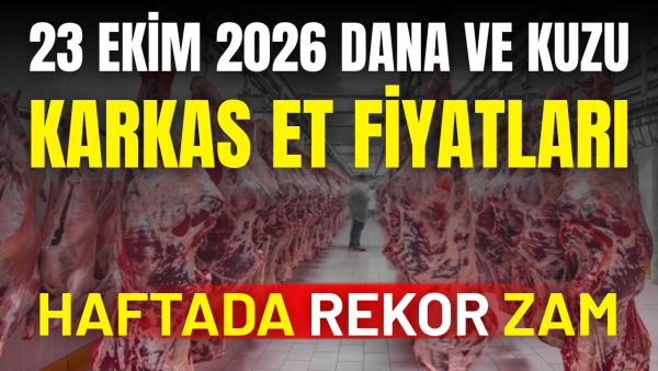 Dana karkasa zam geldi, kuzu karkas fiyatları sabit kaldı: 23 Ekim 2026 karkas et fiyat listesi
