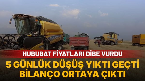 Hububat piyasasında sert hareket: Yulaf 5 günde 1908 TL düştü