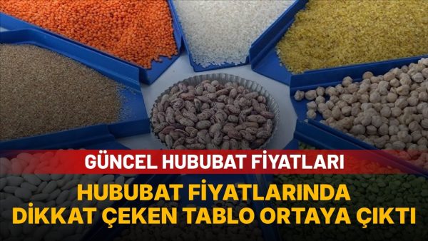 14 Ekim 2026 hububat fiyatları: Buğday, arpa ve mısır fiyatları açıklandı