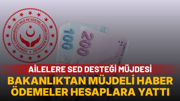 SED desteği alanların beklediği haber: Aile Bakanlığı duyurdu