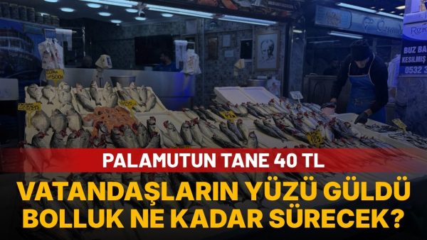 Palamutun tane fiyatı 40 TL’ye düştü: Vatandaşlar 15-20 tane alıyor