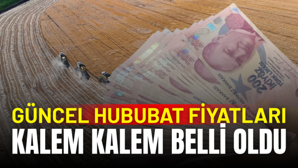 Güncel hububat fiyatları 22 Ekim 2026